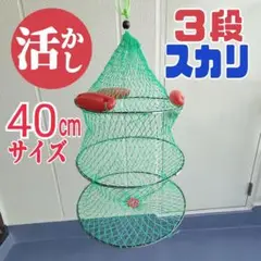 活かし３段スカリ　ビク　釣りスカリ　網