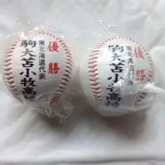 全国高校野球選手権大会 記念ボールセット