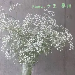 yamu.さま 専用