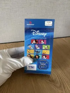 【Disney Characters】 ディズニーキャラクターズ 1BOX 新品