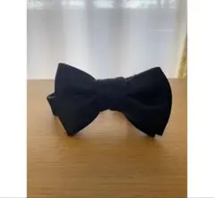 Item thumbnail for item 87b0f27b-ce7e-4a9e-9358-29bcf1f88103