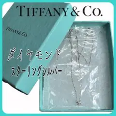 エルサ・ペレッティ ティファニー ダイヤモンド バイ ザ ヤードSVネックレス