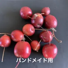 姫りんご 1キロ 1100円