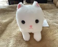 のんびり　ねこさん（しろにゃん）