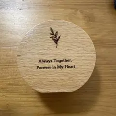 Item thumbnail for item 2c7376ff-a56f-4f55-8f15-b1092052eb62