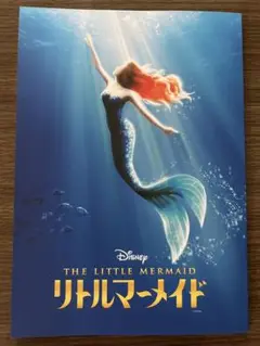 Item thumbnail for item 9adab9e4-b637-487d-ac95-d9a3039975b0