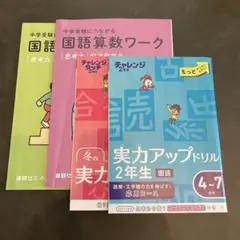 チャレンジ 2年生 実力アップドリル、国語算数ワーク