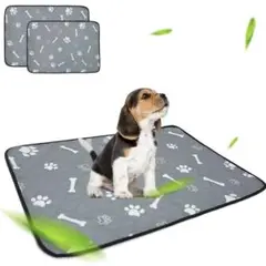 Item thumbnail for item 36ad6439-2e21-4bc6-b7f7-8a8f51be8984