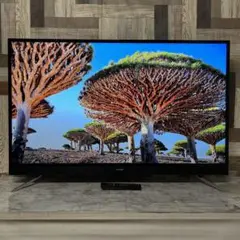 Item thumbnail for item 0613c09b-ec52-4662-a141-6f44ab6baa32