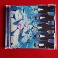クモ　TOKIO