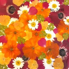 ♡new♡ ♡訳ありの押し花！大容量セット♡
