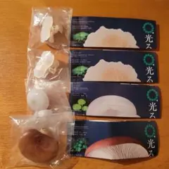 光るキノコのマグネット4個セット