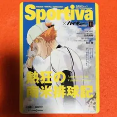 ハイキュー!!ショーセツバン Sportiva ビジュアルボード 日向翔陽