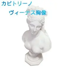 カピトリーノのヴィーナス胸像