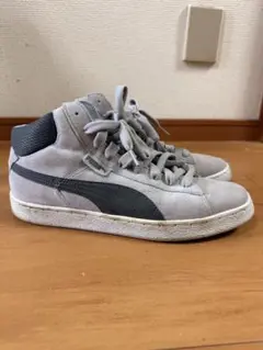 Item thumbnail for item 1c591343-8a88-4fca-acb1-69572f1d25ca