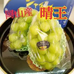 岡山県産 晴王 シャインマスカット 2房 23