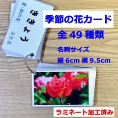 Item thumbnail for item 58bdc8ab-b4e1-45b7-8c7c-7b48390839b0