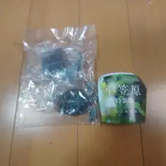 ネイチャーテクニカラー　小笠原　特装版　アオウミガメ