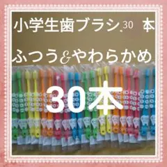 【505】歯科専売　小学生歯ブラシ　30本