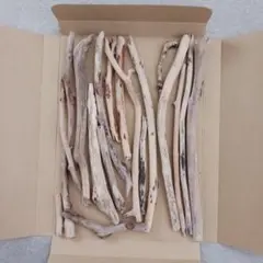 天然流木　ゆうパケット便
