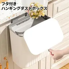 ゴミ箱 壁掛け ぶら下げ ふた付き 大容量 9L 分別 キッチン 2way