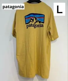 patagonia パタゴニア Tシャツ 半袖 シャツ　38501