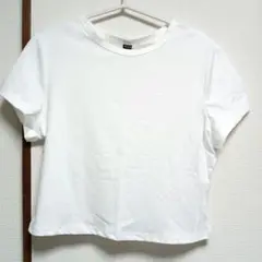 SHEIN ホワイト 半袖Tシャツ XL　レディース　夏服　白Tシャツ　無地