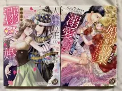 乙女ドルチェ・コミックス2冊セット