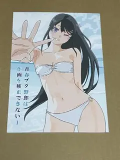たむらみかん　青春ブタ野郎は作画を修正できない　c106 新刊