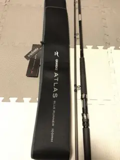APIA アピア グランデージアトラス ブルーランナー 100MH