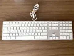 Apple純正キーボード A1243