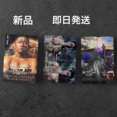 RIZIN ライジン ポテトスナック　ポスターカードコレクション　堀口恭司3枚