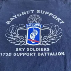 BAYONET SUPPORT T 173D SUPPORT BATTALION