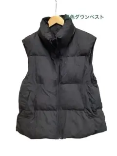 Item thumbnail for item 8b2a373a-f84b-4555-8e87-331f42a85517