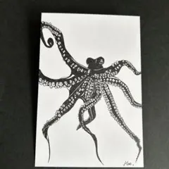 ボールペン画　たこ