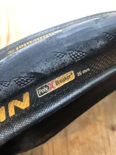 ゲーダスキン