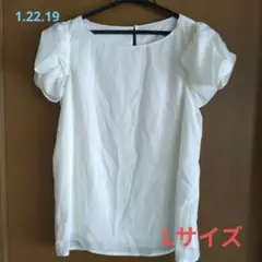 【レディース】Lサイズ　白　ブラウストップス