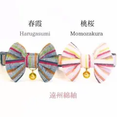 Item thumbnail for item 9b9f425b-44b0-48aa-b899-77329686ead1