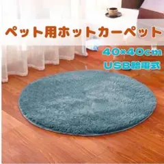 Item thumbnail for item 46d0ee4a-4601-422c-beae-a78ff3d1251d