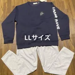 Item thumbnail for item 9a1f9c58-26d3-472b-ab6c-90a4754a6238