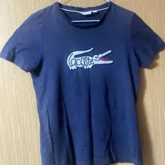 ラコステTシャツ　FR3 U S xs 日本サイズSくらい