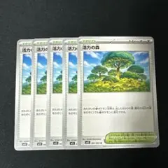活力の森