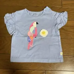 お値下げしました！水色オウムイラストフリル袖Tシャツ 95cm