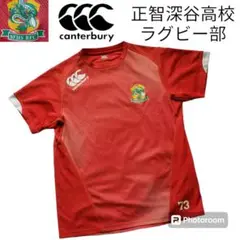 正智深谷バレーtシャツ来週までセール中