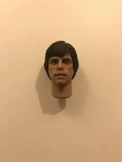 ホットトイズ　ルーク　ヘッド　1/6