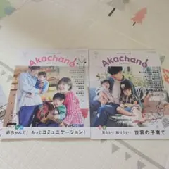 月刊赤ちゃんと　2冊セット