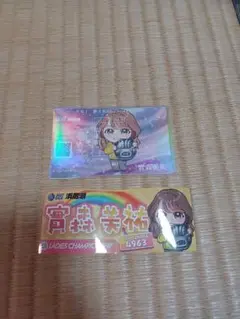 ボートレース浜名湖　競艇　レディースチャンピオン　ステッカー　記念舟券　實森美祐