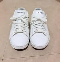 LACOSTE ホワイト スニーカー　日本サイズ25.5