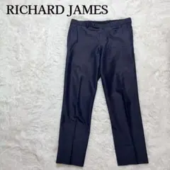 RICHARD JAMES リチャードジェームス スラックス 46 ネイビー