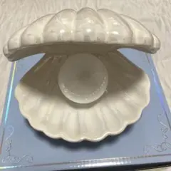 Francfranc 貝殻ライト